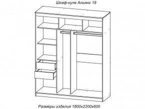 Шкаф-купе Альянс 18 комплект зеркал №4 в Орске - orsk.magazinmebel.ru | фото - изображение 2